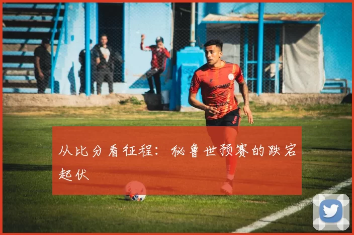 从比分看征程：秘鲁世预赛的跌宕起伏