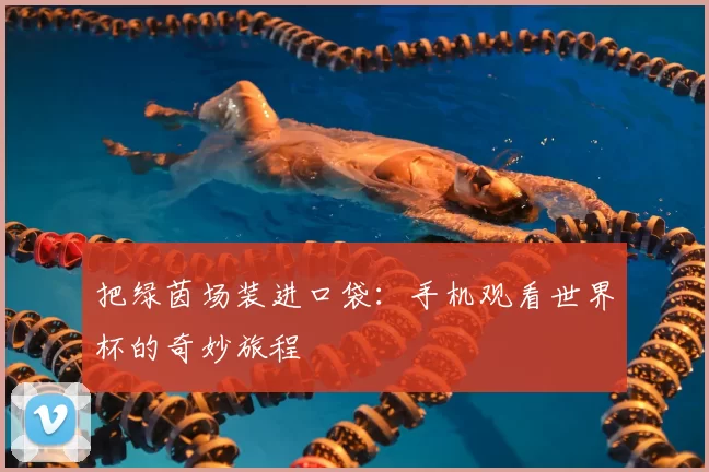 把绿茵场装进口袋：手机观看世界杯的奇妙旅程