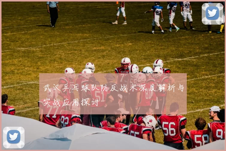 武汉乒乓球队防反战术深度解析与实战应用探讨