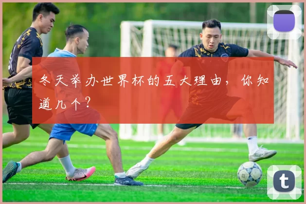 冬天举办世界杯的五大理由,你知道几个?