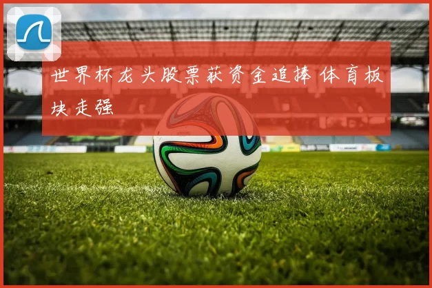 世界杯龙头股票获资金追捧 体育板块走强