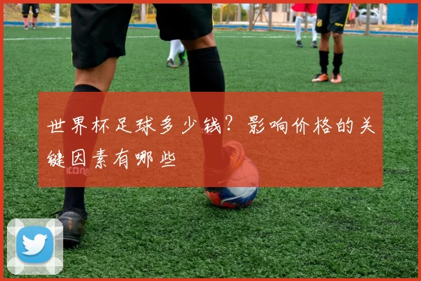 世界杯足球多少钱?影响价格的关键因素有哪些