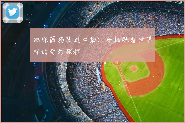 把绿茵场装进口袋:手机观看世界杯的奇妙旅程