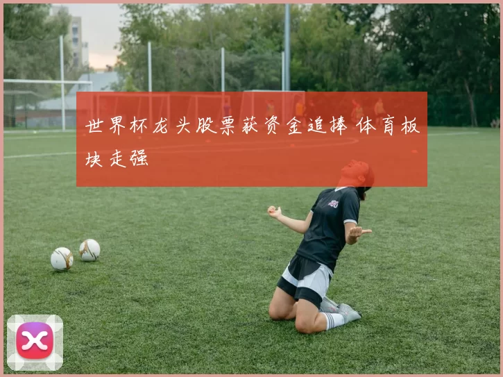 世界杯龙头股票获资金追捧 体育板块走强