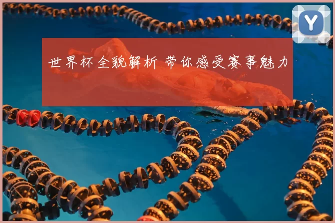 世界杯全貌解析 带你感受赛事魅力